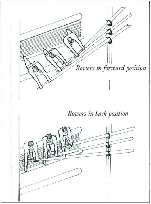 rower positions